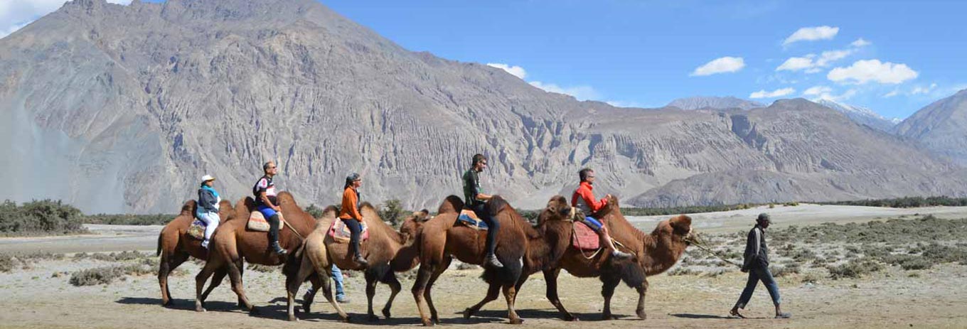 North India Tour Packages